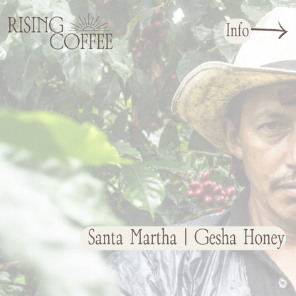 Santa Martha | Gesha Honey | Colombia