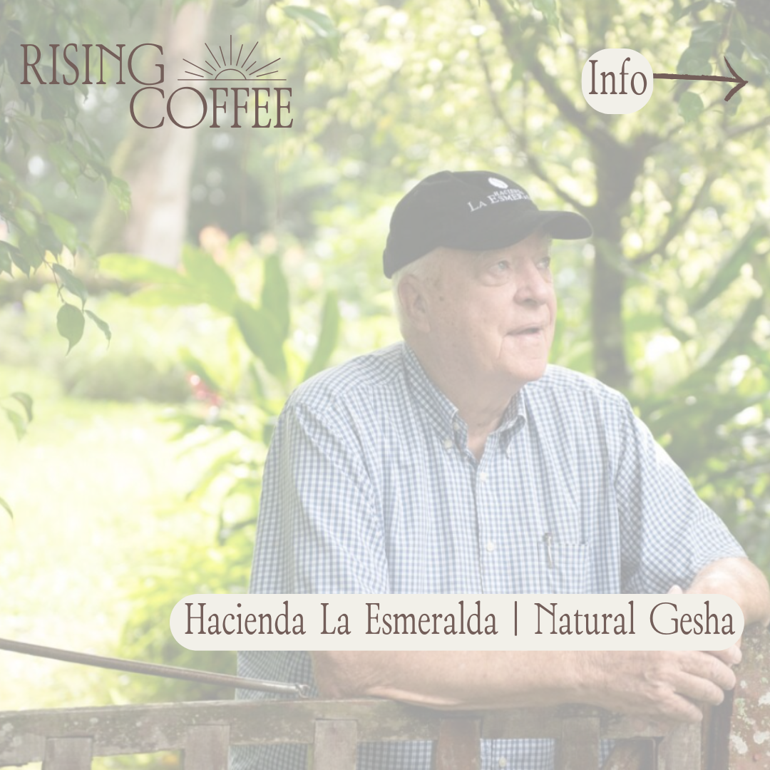 Hacienda La Esmeralda | Natural Gesha | Panama