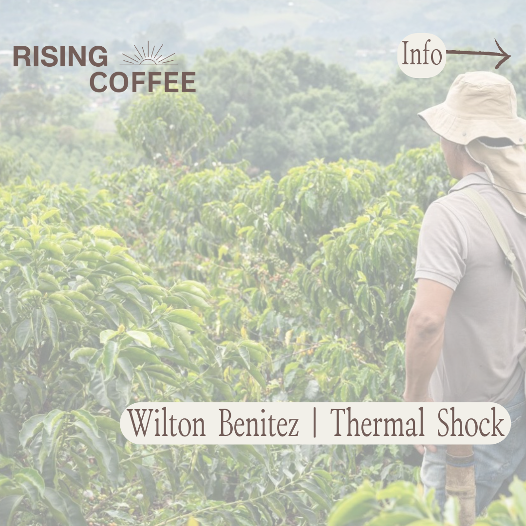 Wilton Benitez | Thermal Shock | Colombia