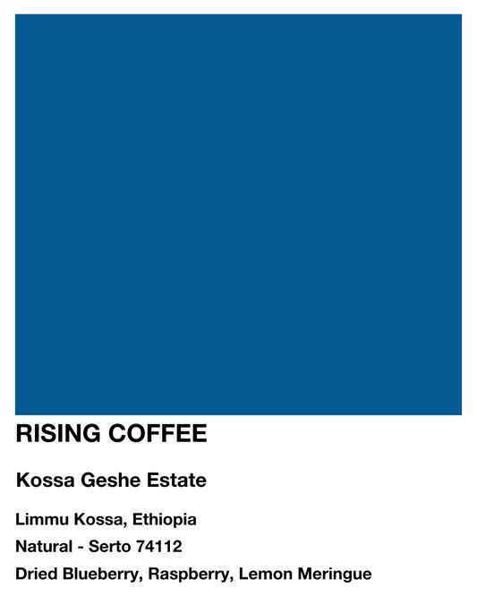 Kossa Geshe Estates | Ethiopia | Natural